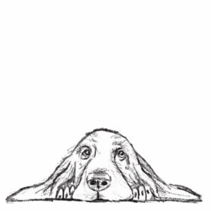 Schwarz-weiße Hundeaugen Freistehende Fotoskulptur