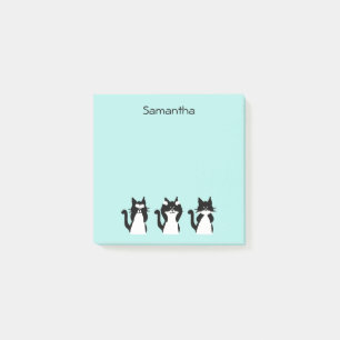 Schwarz-weiße Katzen Drei Kätzchen Aqua Blue Post-it Klebezettel