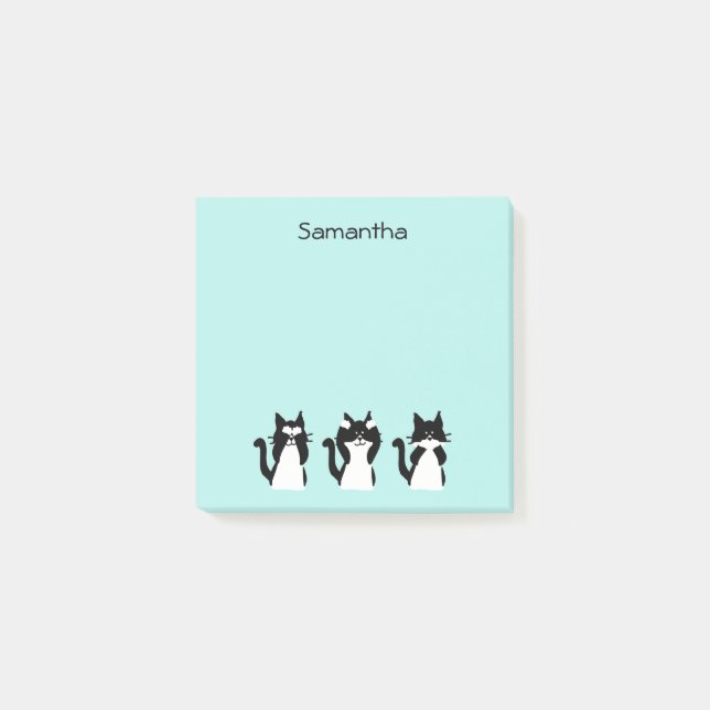 Schwarz-weiße Katzen Drei Kätzchen Aqua Blue Post-it Klebezettel (Vorderseite)