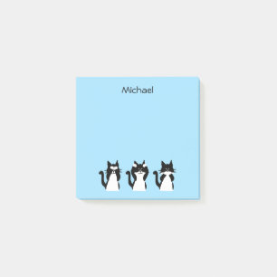 Schwarz-weiße Katzen Drei weiße Kätzchen Blau Post-it Klebezettel