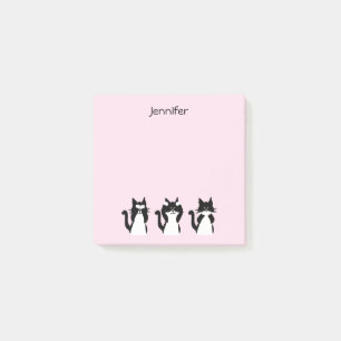 Schwarz-weiße Katzen Drei weiße Kätzchen rosa Post-it Klebezettel