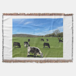 Schwarz-Weiße Kühe Weiden im Feld Blanketthähnchen Decke