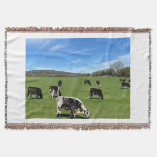 Schwarz-Weiße Kühe Weiden im Feld Blanketthähnchen Decke