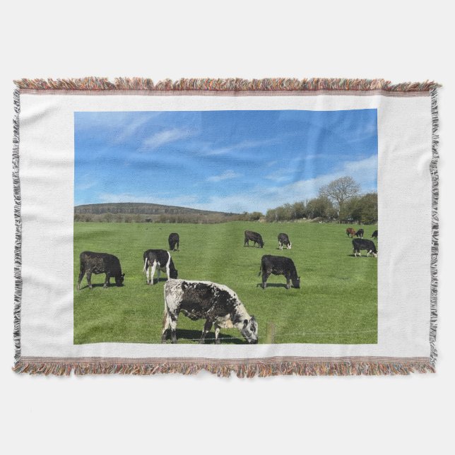 Schwarz-Weiße Kühe Weiden im Feld Blanketthähnchen Decke (Vorderseite)