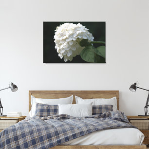 Schwarz-weiße Limone Hydrangea Blume Leinwand
