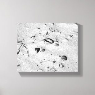 Schwarz-Weiße Muscheln im Sand 8x10 Leinwanddruck
