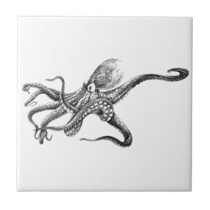 Schwarz-weiße Oktopus-Illustration Fliese
