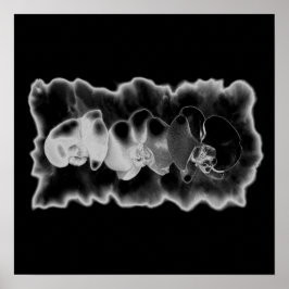 Schwarz-weiße Orchideenmalerei Poster