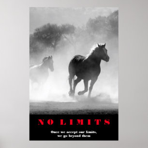Schwarz-weiße Pferde Motivierend No Limits Artwork Poster