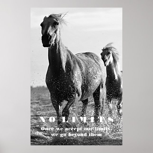 Schwarz-weiße Pferde Motivierend No Limits Artwork Poster (Vorne)
