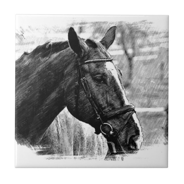 Schwarz-weiße Pferdekizze Fliese (Vorderseite)