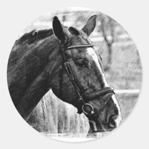 Schwarz-weiße Pferdekizze Runder Aufkleber