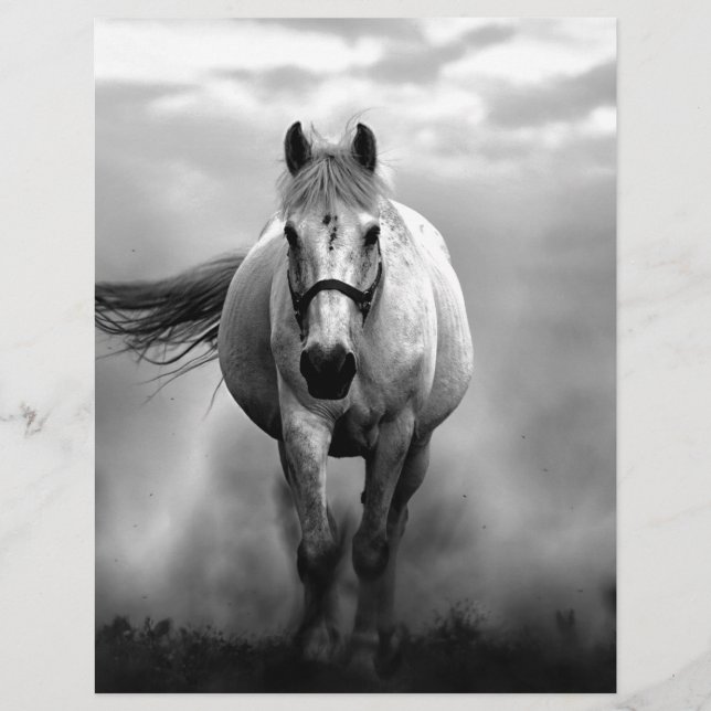 Schwarz-weiße Running Horse Freedom (Vorderseite)