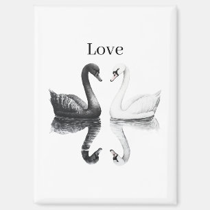 Schwarz Weiße Schwäne Vögel Spiegelung Liebe Magnet