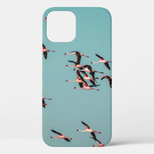 SCHWARZ-WEIßE VÖGEL Case-Mate iPhone HÜLLE