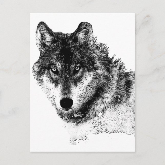 Schwarz-weiße Wolf-Augen Postkarte (Vorderseite)