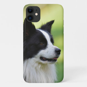 Schwarz-weißer Border Collie Hund Case-Mate iPhone Hülle