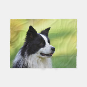 Schwarz-weißer Border Collie Hund Fleecedecke