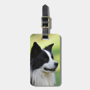 Schwarz-weißer Border Collie Hund Gepäckanhänger