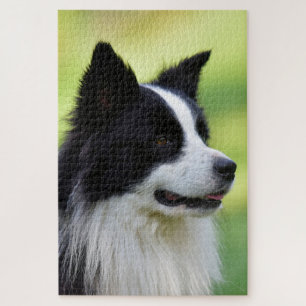 Schwarz-weißer Border Collie Hund Puzzle
