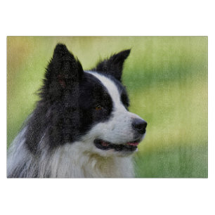 Schwarz-weißer Border Collie Hund Schneidebrett