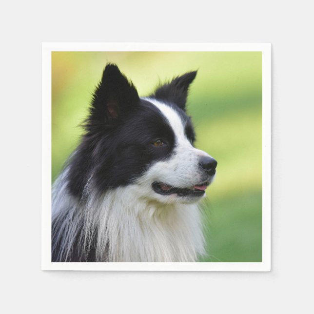 Schwarz-weißer Border Collie Hund Serviette (Vorderseite)