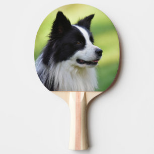 Schwarz-weißer Border Collie Hund Tischtennis Schläger