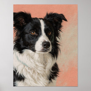 Schwarz-weißer Border Collie-Porträt in Koralle an Poster
