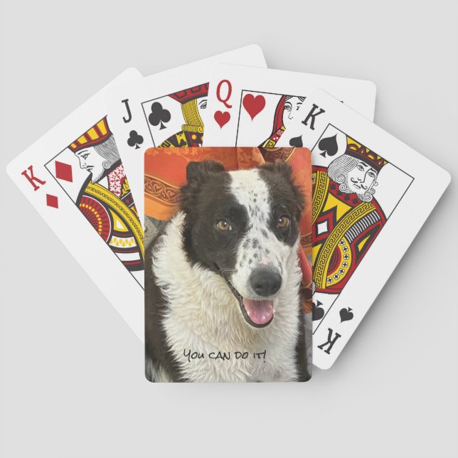 Schwarz-weißer Border Collie Spielkarten (Rückseite)