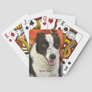 Schwarz-weißer Border Collie Spielkarten