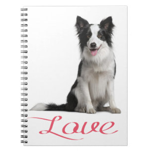 Schwarz-weißer Border Collie Welpe Hund Journal Notizblock