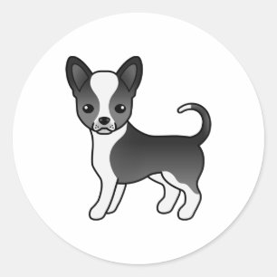 Schwarz-weißer Chihuahua mit glattem Fell Süßer Hu Runder Aufkleber