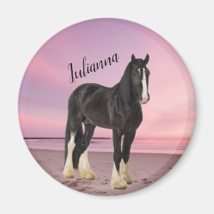 Schwarz-weißer Clydesdale am Strand bei Sonnenunte Magnet