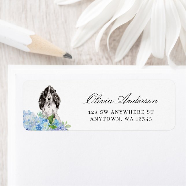 Schwarz-weißer Cocker Spaniel Blaue Hortensie (Insitu)