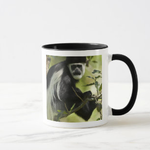 Schwarz-weißer Colobusaffe Tasse