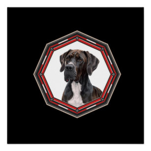 Schwarz-weißer Dogge in einem roten Rahmen Poster