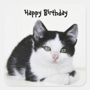 Schwarz-weißer, durchdachte Kittenpfropf Quadratischer Aufkleber