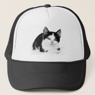 Schwarz-weißer nachdenklicher Kitten Trucker Hut Truckerkappe