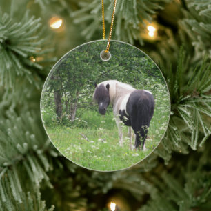 Schwarz-weißer Paint-Pony in Gras und Blumen Keramik Ornament