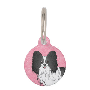 Schwarz-weißer Papillon-Hund von vorne auf rosa He Haustiermarke