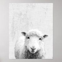 Schwarz-weißer Peekaboo-Schaf-Minimalistischer-Nur