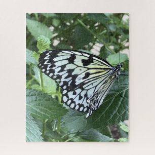Schwarz-weißer Schmetterling Puzzle