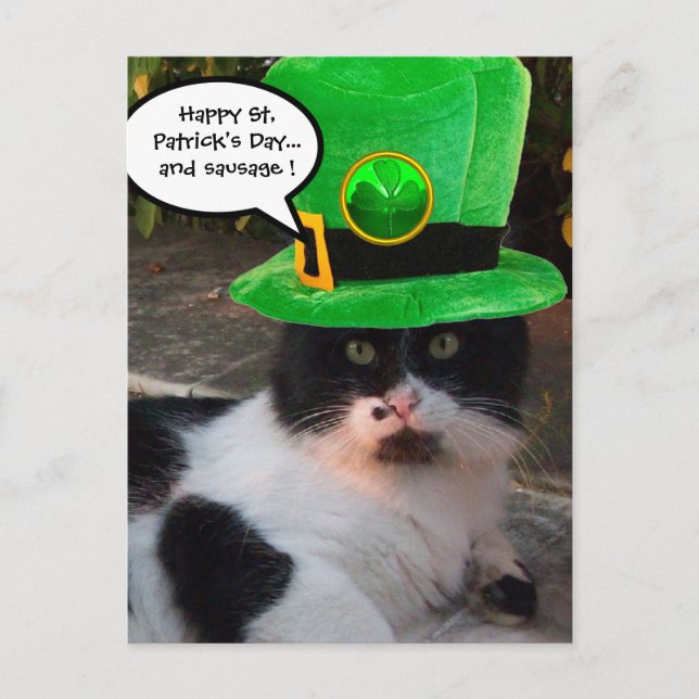 SCHWARZ-WEISSER ST. PATRICK'S DAY CAT LEPRECHAUN H POSTKARTE (Vorderseite)