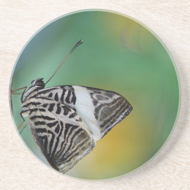 Schwarz-Weißer Tiger-Schmetterling Sandstein Untersetzer (Vorne)