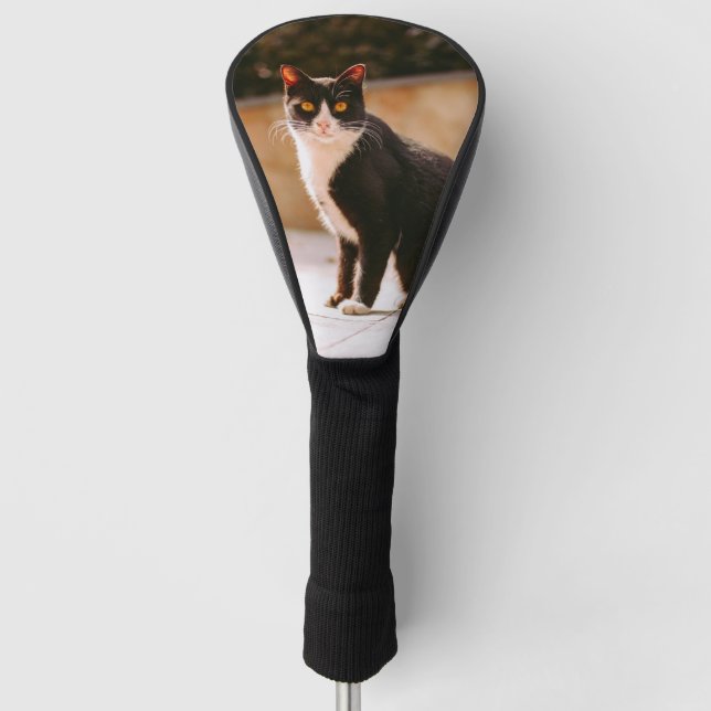 Schwarz-weißes Cat Foto Golf Head Cover Headcover (Vorderseite)