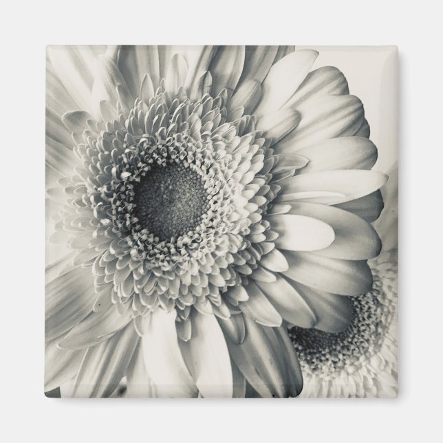 Schwarz-weißes Foto für die Blume Magnet (Vorne)