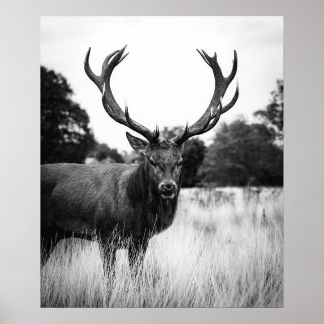 Schwarz-weißes Hirschhaus Dekorwald Poster (Vorne)