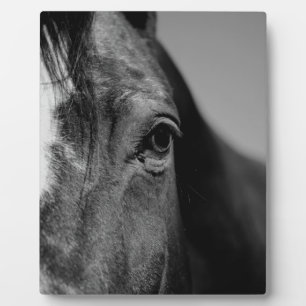 Schwarz-weißes Horseaugenkunstwerk Fotoplatte