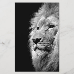Schwarz-weißes Löwenportrait - Tierfotografie Briefpapier
