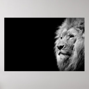 Schwarz-weißes Löwenportrait - Tierfotografie Poster
